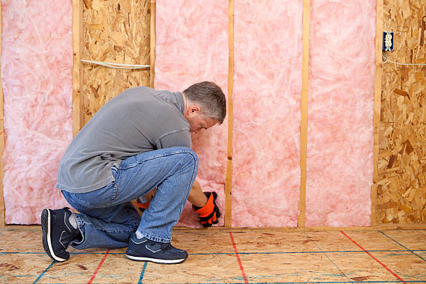 Best Eco-Friendly Insulation in Salmon Brook, CT