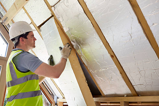 Best Cellulose Insulation in Salmon Brook, CT